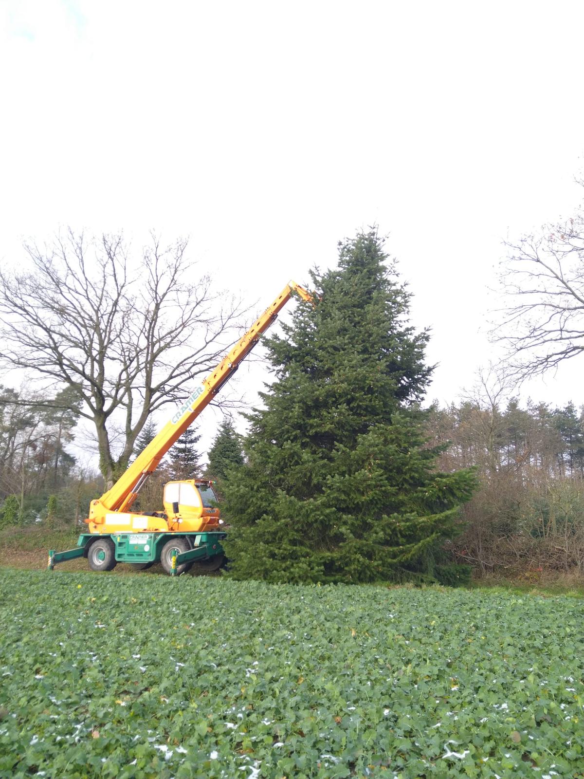 Weihnachtsbaum in Schwerte von Familie Linneweber